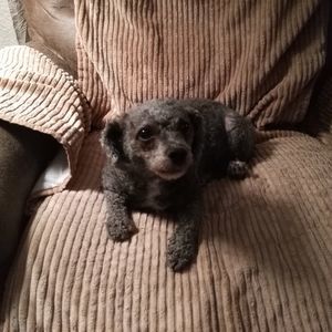 Meet your Posher, Janeen